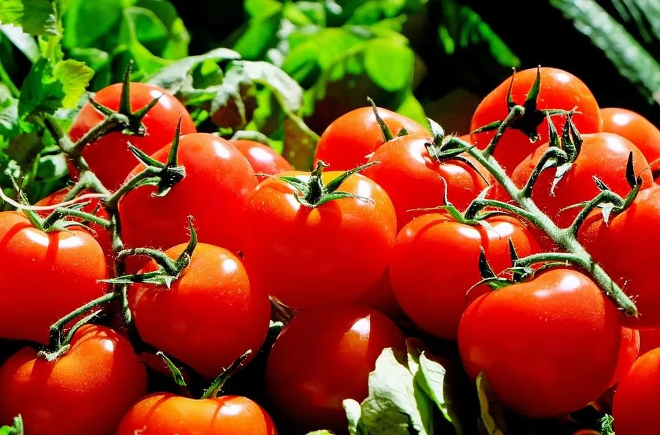 10 aliments qui débouchent vos 06