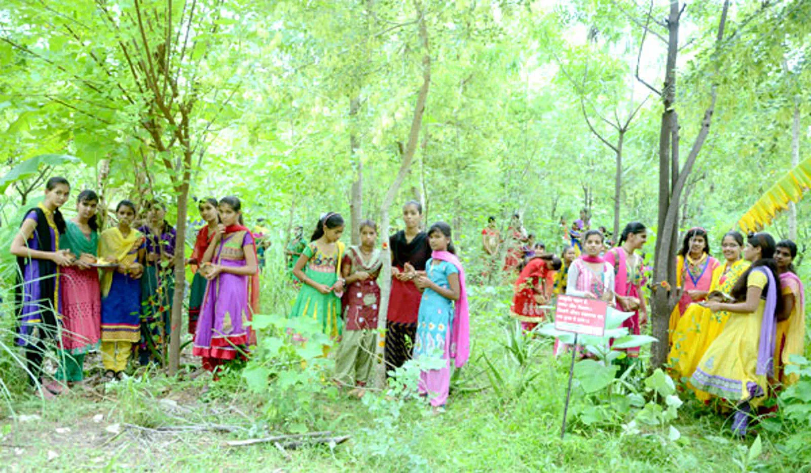 Cet Incroyable Village Indien Plante 111 Arbres A Chaque Fois Qu’une Petite Fille Nait