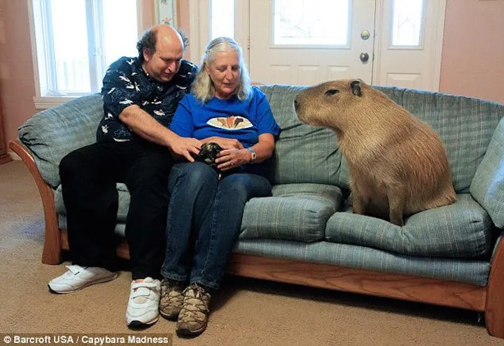 14_des_plus_gros_animaux-03