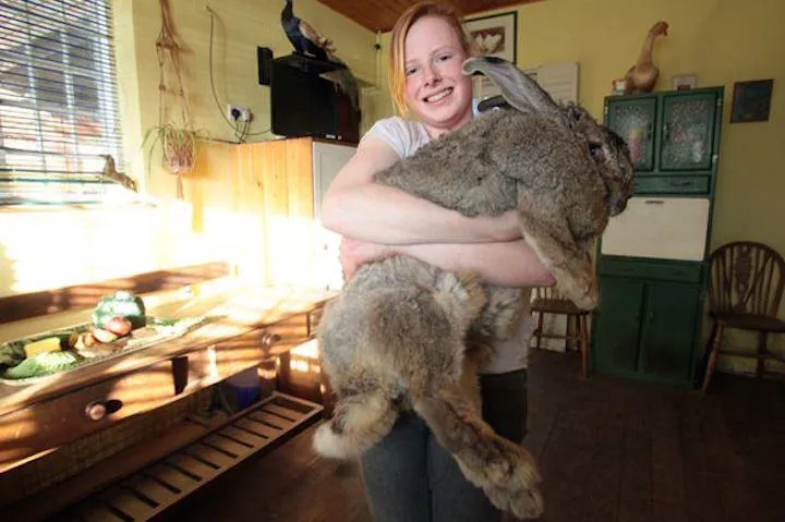 14_des_plus_gros_animaux-04