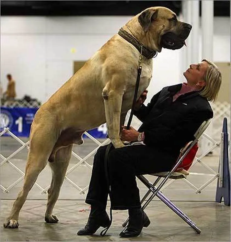 14_des_plus_gros_animaux-05