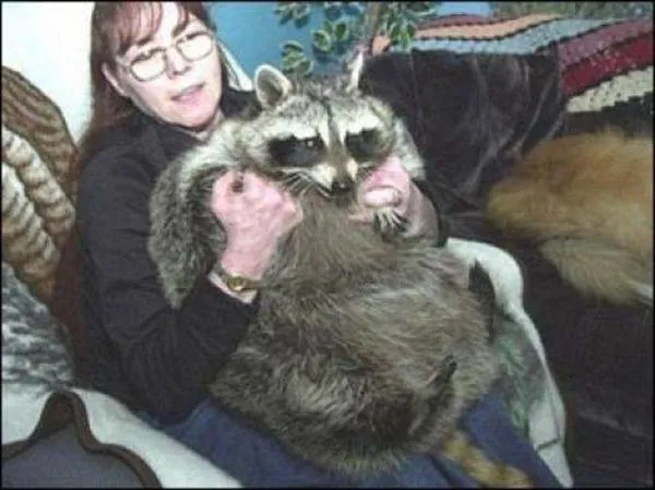 14_des_plus_gros_animaux-11