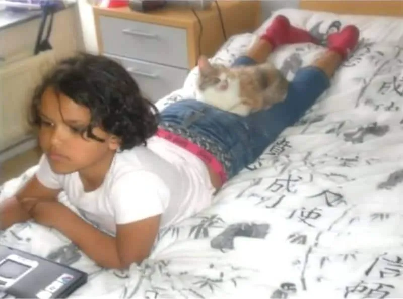 Chatte maltraitee 8
