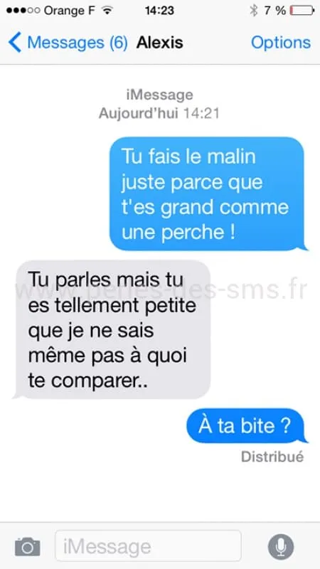 Sms de couples 1