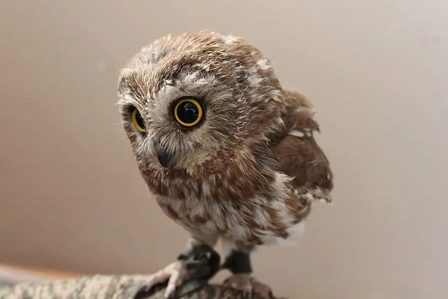 310