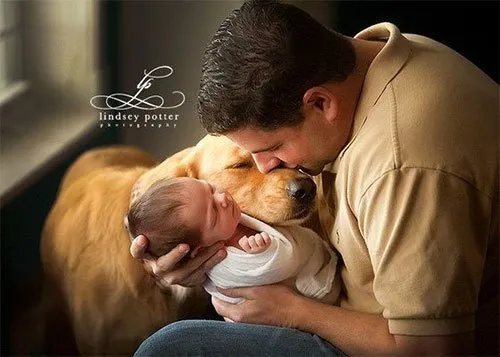 7 20 essential dog facts