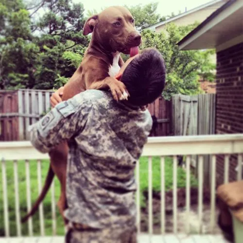 10 20 essential dog facts