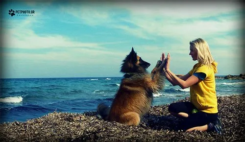 14 20 essential dog facts