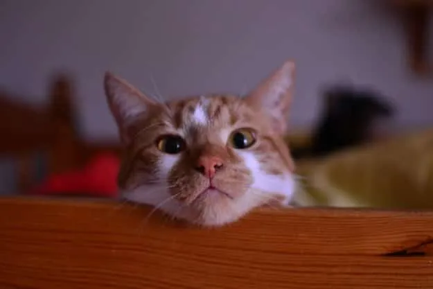 2112