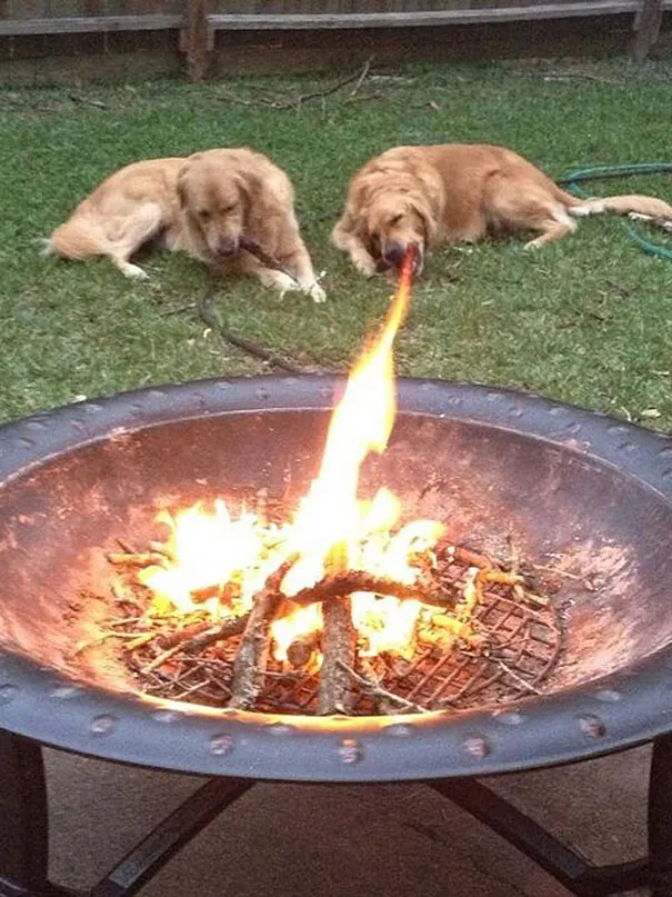714