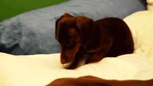 tehcute.com