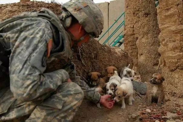 27_clichés_touchants_de_soldats-10