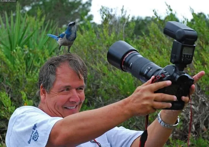Photographes dejantes 10