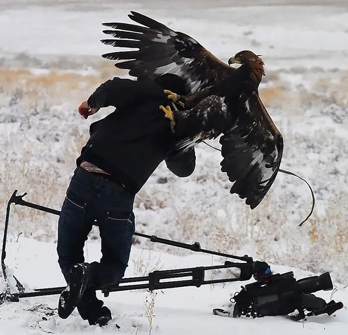Photographes dejantes 11