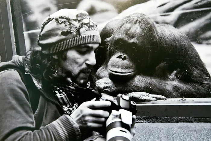 Photographes dejantes 2