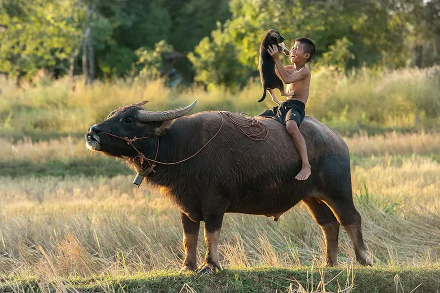 Children around the world 3