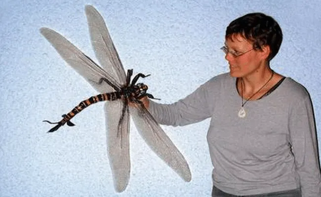31 insectes si effrayants que 06