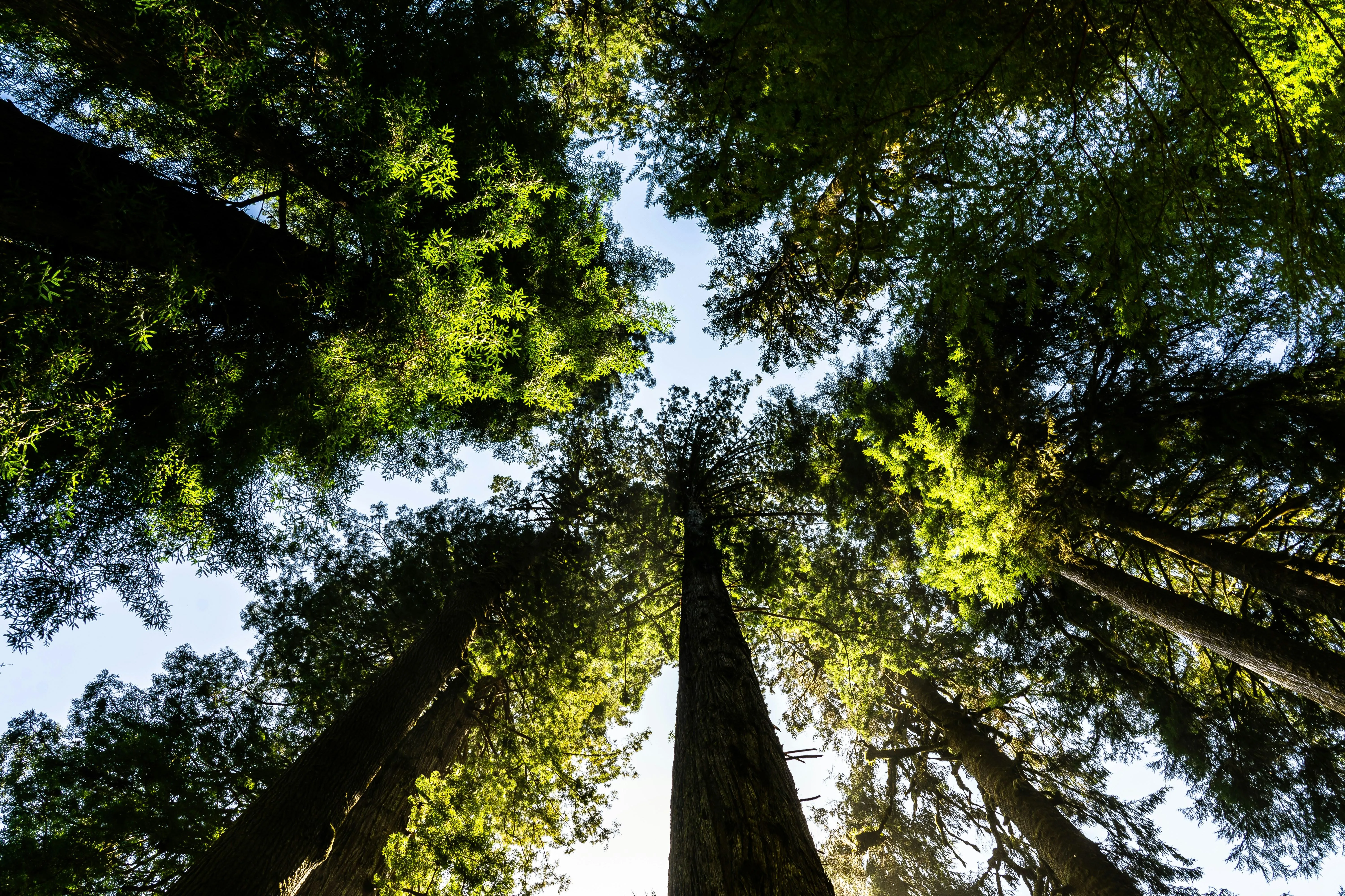 Favoriser la biodiversité pour un écosystème équilibré et résilient