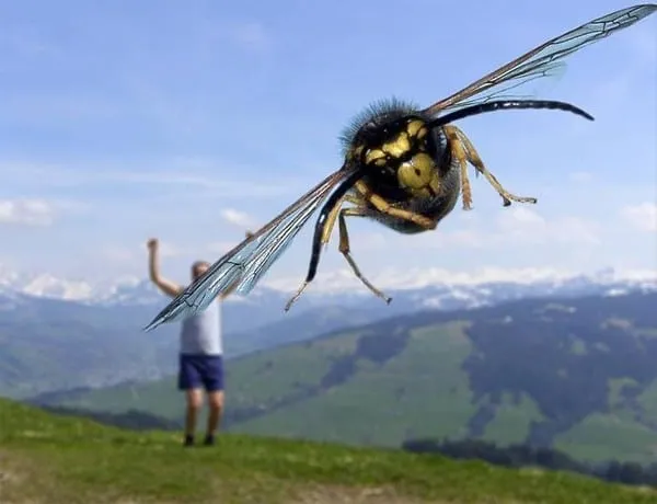 45 photos phenomenales prises 01