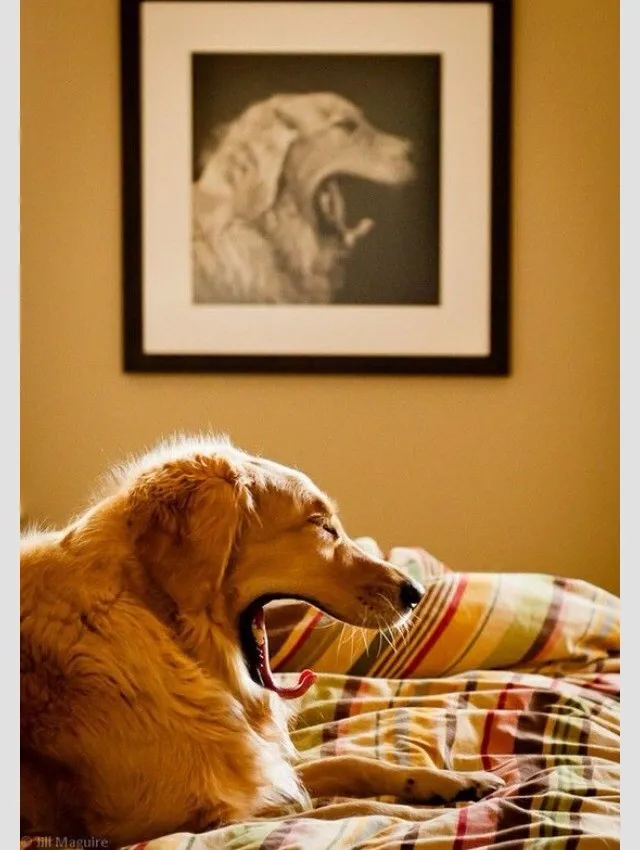 45 photos phenomenales prises 14