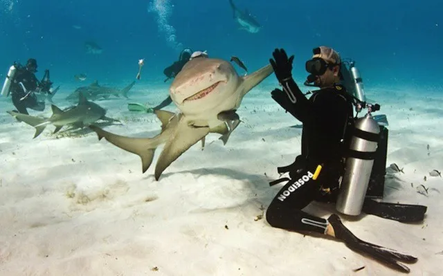 45 photos phenomenales prises 22