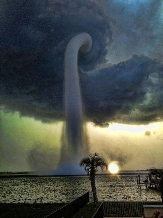45 photos phenomenales prises 12