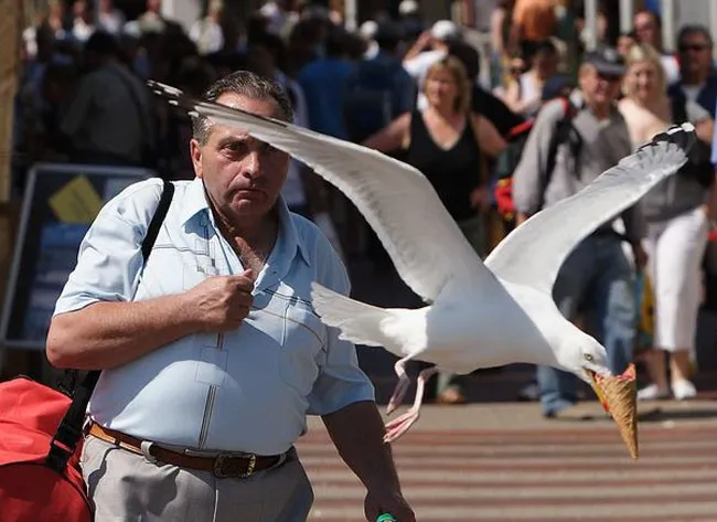 45 photos phenomenales prises 26