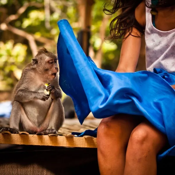 45 photos phenomenales prises 35