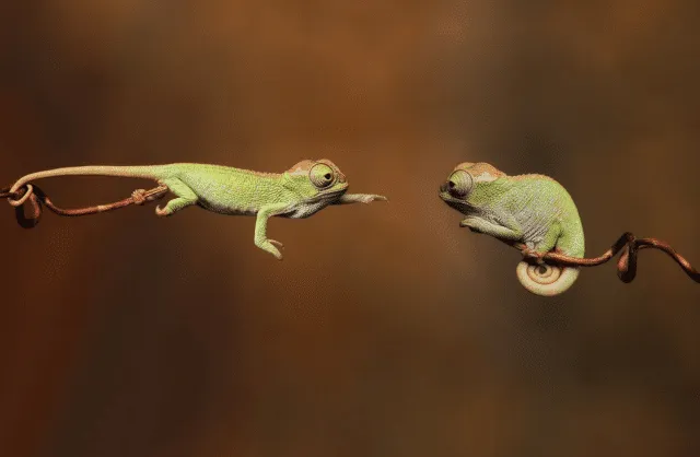 45 photos phenomenales prises 41