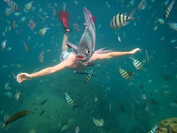 45 photos phenomenales prises 51