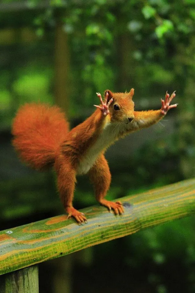 45 photos phenomenales prises 55
