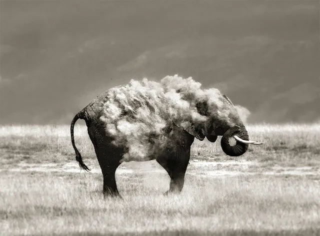 45 photos phenomenales prises 73