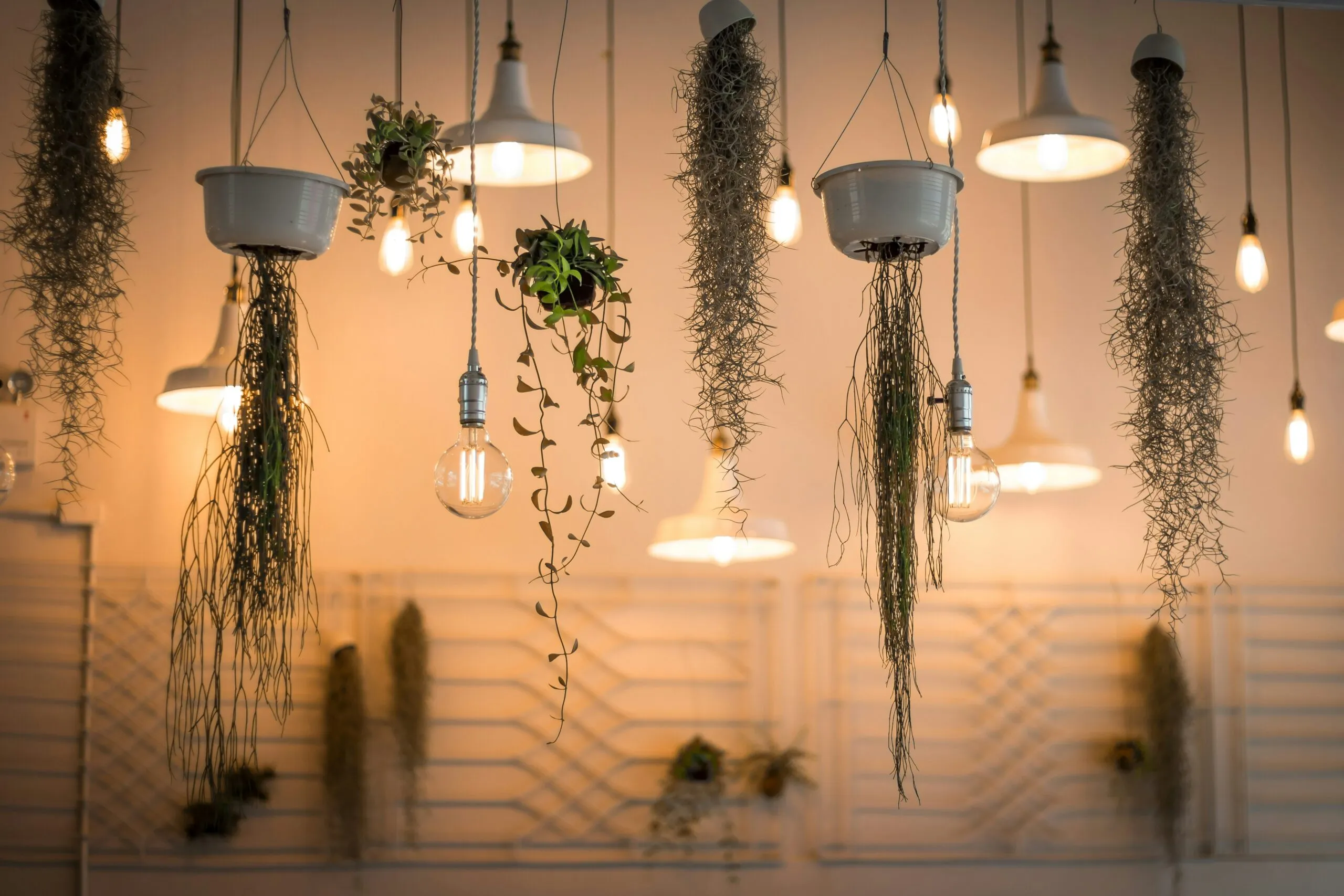 8 solutions économiques et faciles pour illuminer votre allée avant l’été avec LED, lanternes solaires et bornes lumineuses