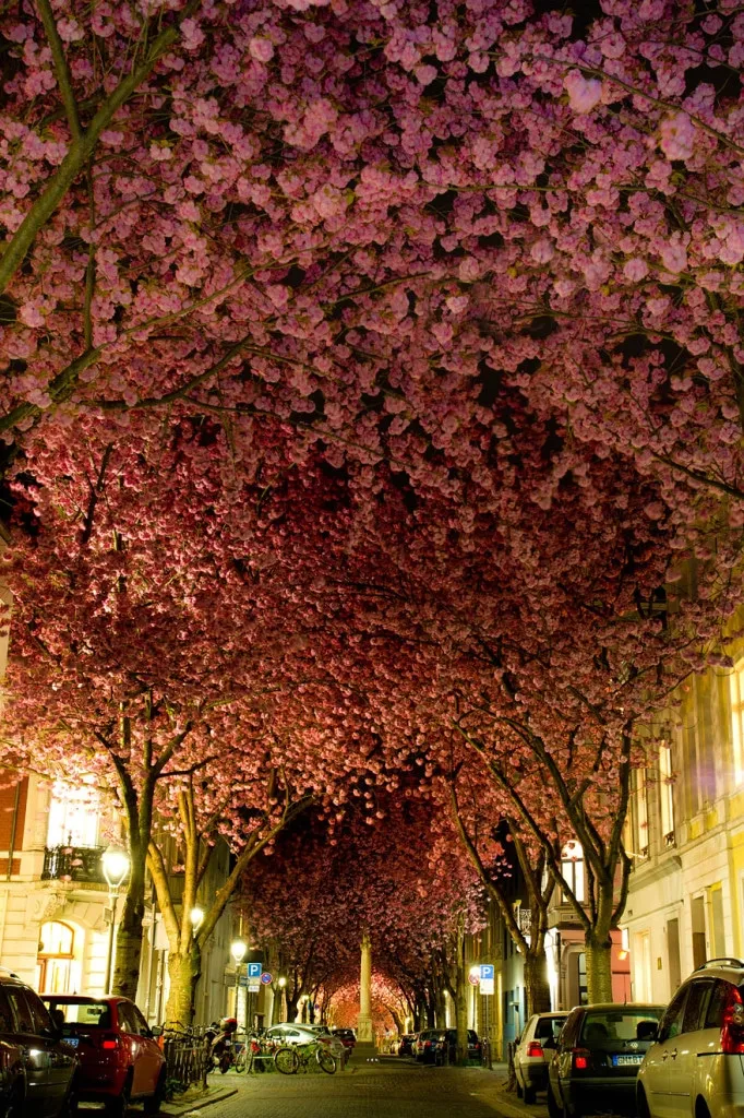 Bonn allemagne 682x1024