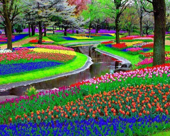 Keukenhof lisse pays bas