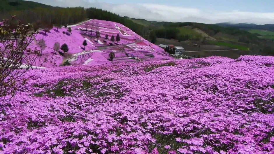 Takinoue park hokkaido japon