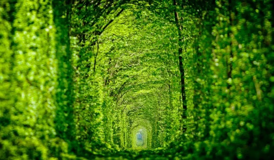 Tunnel of love klevan ukraine