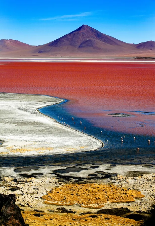 Laguna colorada bolivie
