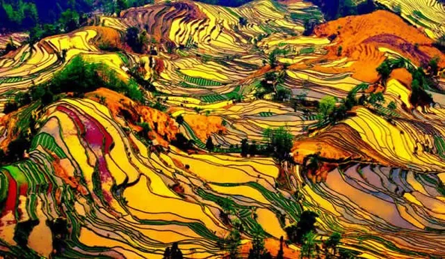 Rizières en terrasses guilin longji chine 640x480