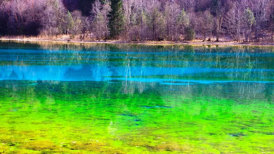 Cinq fleur de lac la vallée de jiuzhaigou la chine