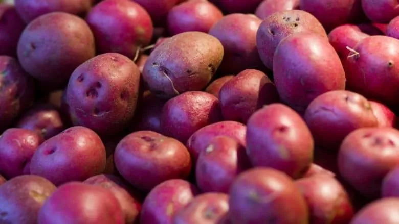 8 legumes que vous devriez 09