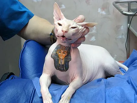 Dog tatoo 2