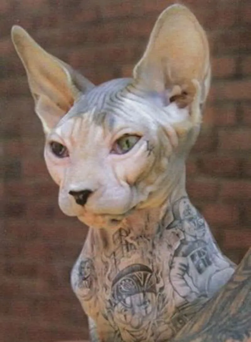 Dog tatoo 10