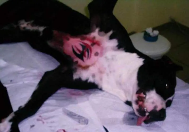 Dog tatoo 9