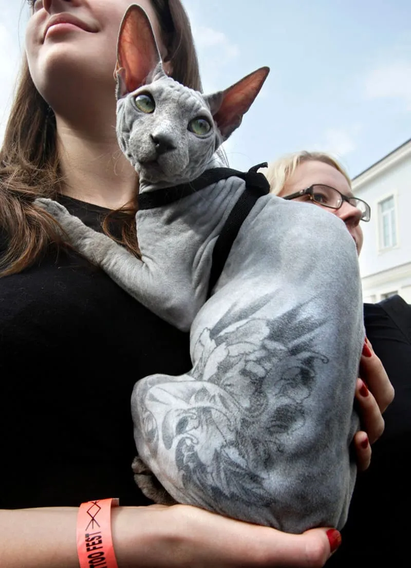 Dog tatoo 8