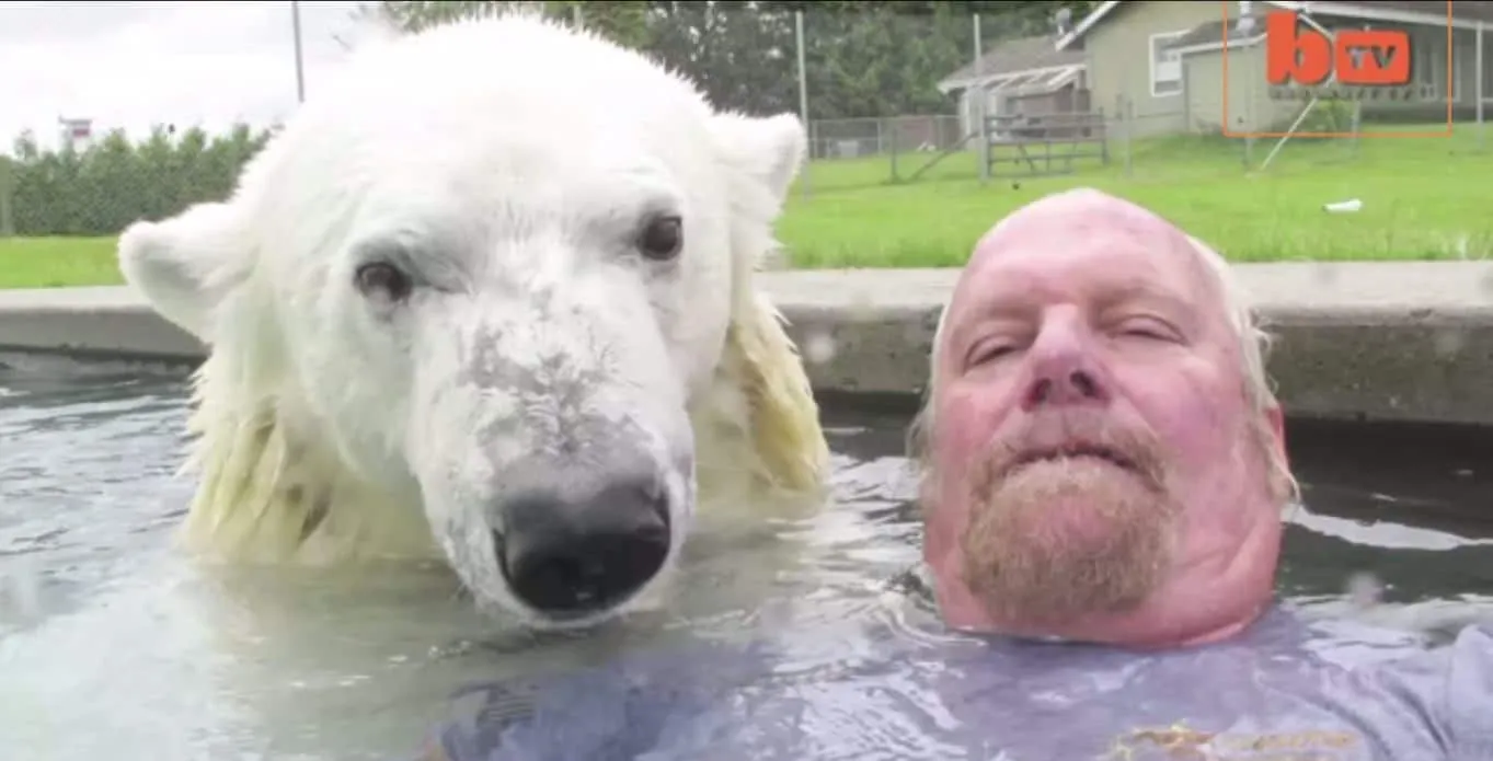 Cet homme est le seul au monde à pouvoir nager avec un ours polaire. Des images incroyables!