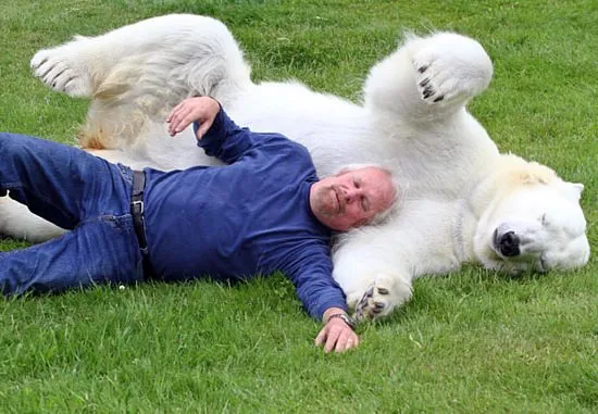 Grizzly man 2