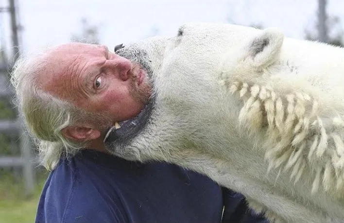 Grizzly man 3