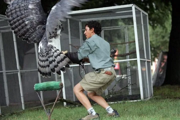 Cet imposant oiseau est lun 04s