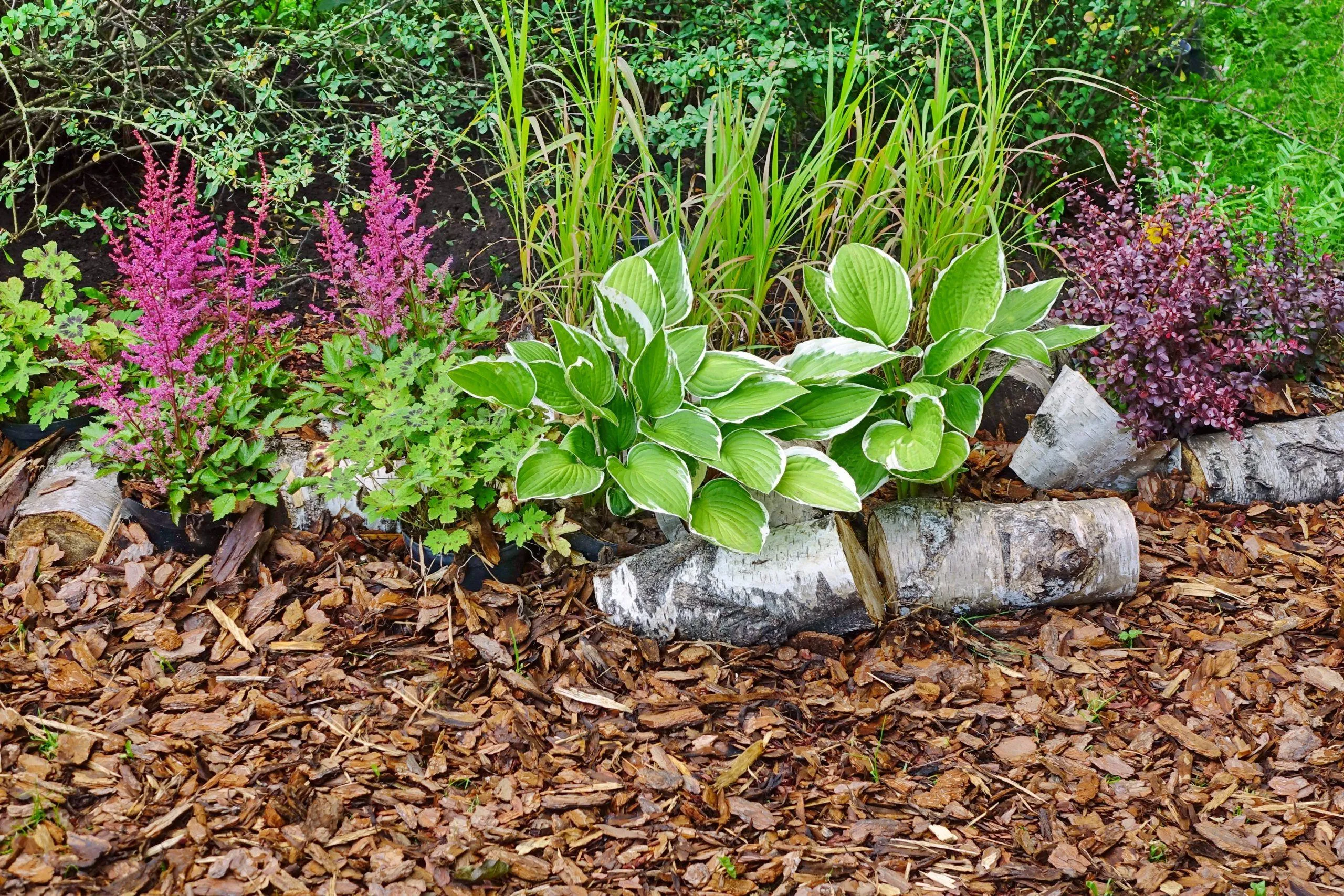 Techniques de⁢ paillage et irrigation intelligente pour un potager résilient